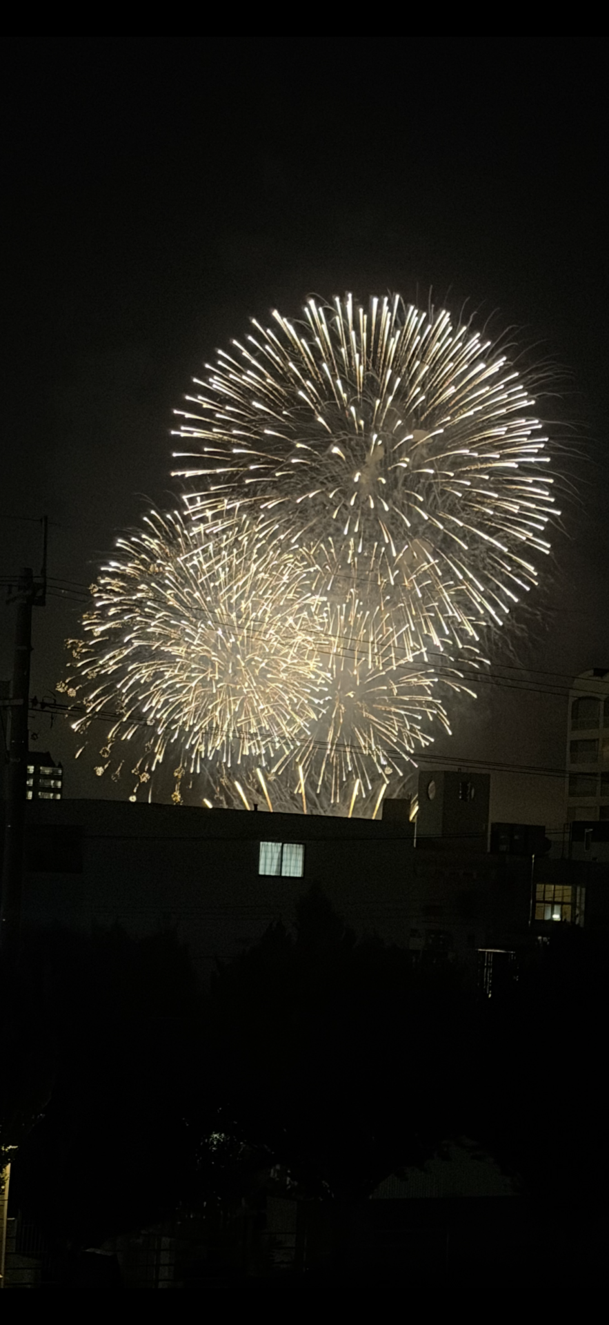 花火🎆